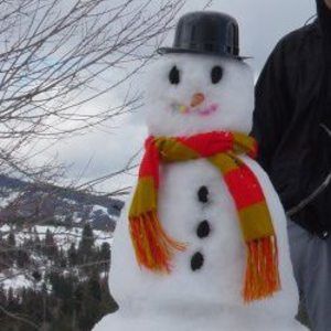 Meet your Posher, Shelly